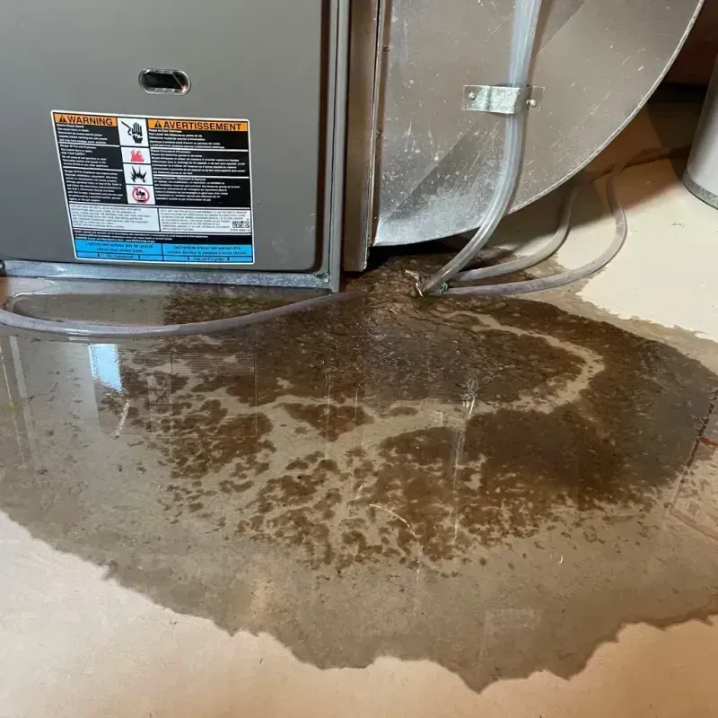 Appliance Leak Cleanup in Cave Spring, VA